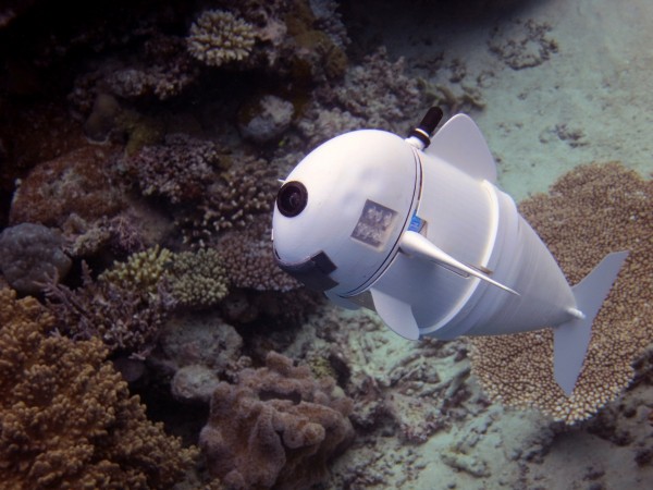 SoFi's head, which encases all of the fish's electronics, is 3D printed, while its back half is made of plastic and silicone rubber. robot fish