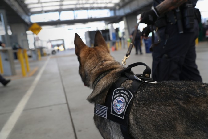 The particular dog breed is being inducted for its ability to withstand harsh climatic situations as is prevalent in the country, sturdiness and the resilience to run long distances without fatigue. Police dog