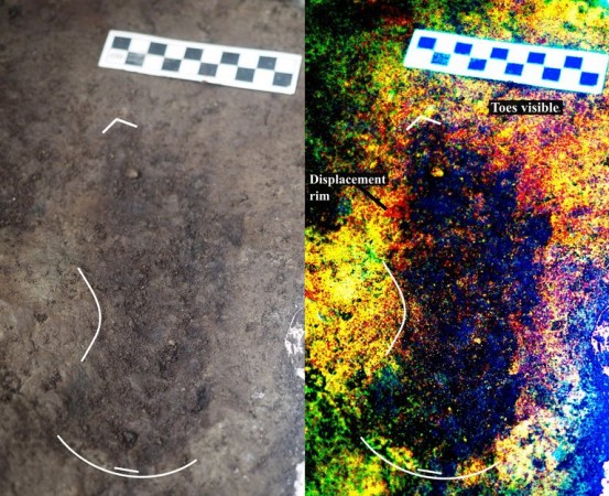 Terminal Pleistocene epoch human footprints from the Pacific coast of Canada Pleistocene epoch human footprints