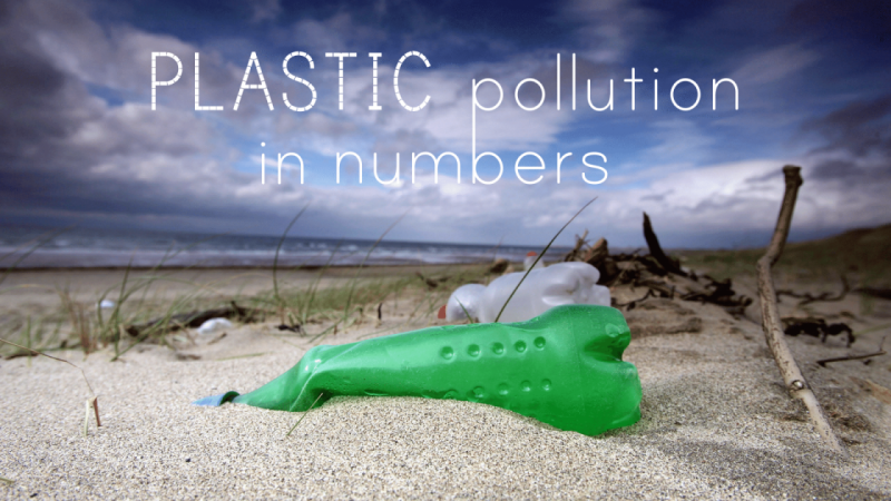 How plastic waste is killing the oceans