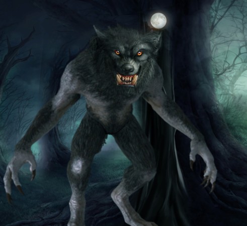 DNA tests underway to identify wolf-like animal shot in US