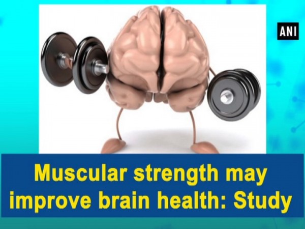 Muscular strength may enhance brain health: Study