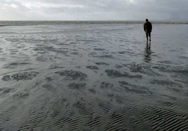 (Representational image) Drowning