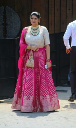 Anshula Kapoor Sonam kapoor and Anand Ahuja wedding