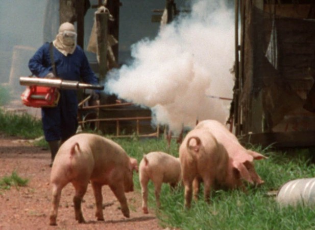 A health ministry worker fogs an area around a pig farm before Malaysian soldiers began shooting the pigs in Sungai Nipah, 100 kilometres (60 miles) southwest of Kuala Lumpur March 20 Nipah virus outbreak in Malaysia
