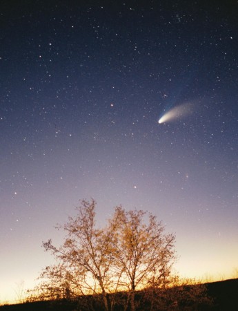 As comets, like Hale Bopp shown here, pass near the Sun, they release dust that can reach Earth's orbit and settle through the atmosphere where it can be collected Comet
