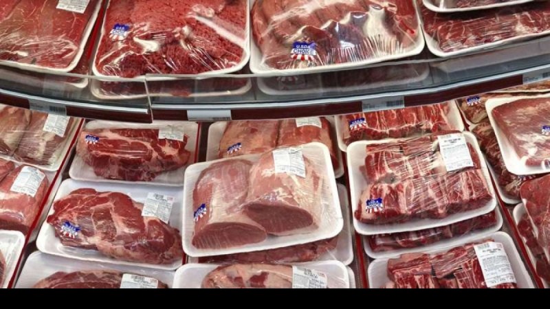 Carcass meat row has shattered the entire poultry based economy of the state of West Bengal