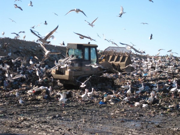 Landfills are filling up rapidly all over the world Landfill