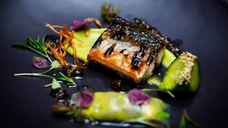 Flame Grilled Bonito with Pickled Cucumber, Celtic Mustard and Shiso Flame Grilled Bonito with Pickled Cucumber, Celtic Mustard and Shiso
