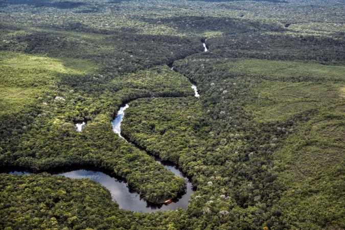 Under threat from deforestation, there are only about 80 tribesfolk remaining, making them the most endangered people on the planet Amazon Forest