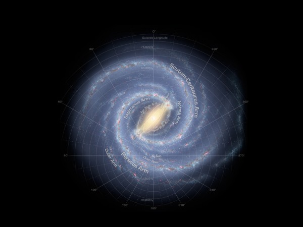 Graphic view of our Milky Way Galaxy. The Milky Way Galaxy is organized into spiral arms of giant stars that illuminate interstellar gas and dust. The Sun is in a finger called the Orion Spur. Overlaid is a graphic of galactic longitude in relation to our Sun Milky Way