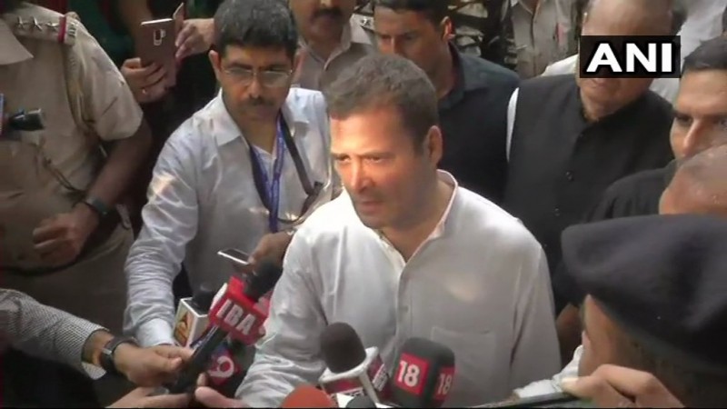 Congress President Rahul Gandhi rahul gandhi