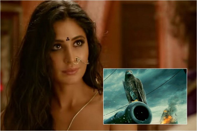 Katrina Kaif's role in Thugs of Hindostan is lesser than Azad's eagle in TOH Katrina Kaif's role in Thugs of Hindostan is lesser than Azad's eagle in TOH