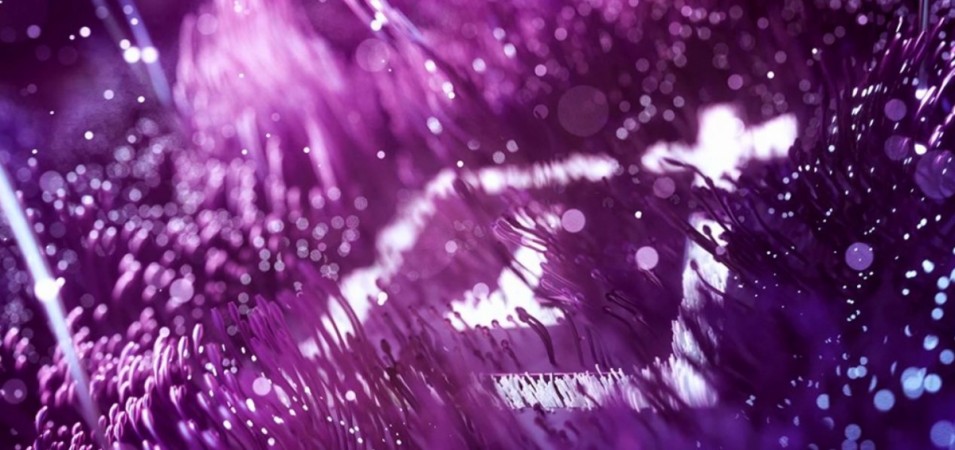 OnePlus 6T Thunder Purple will soon be offered outside China. OnePlus 6T, Thunder Purple, India, global, launch