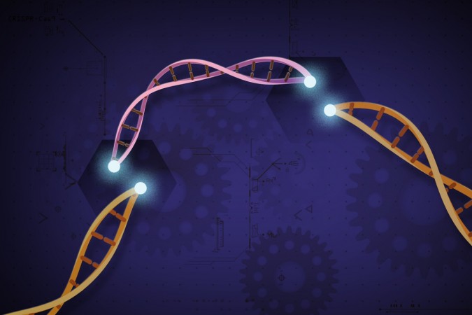 Gene editing tool CRISPR-Cas9 allows researchers to operate on DNA, adding and removing as they go along CRISPR-Cas9