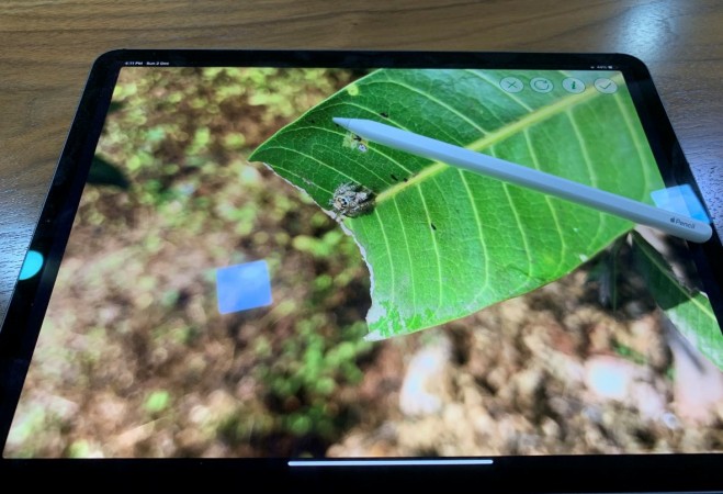 Apple Pencil 2 makes the new iPad Pro most versatile tablet in the market. Apple, iPad Pro, 2018, Apple Pencil, smart keyboard folio, review, performance, design, launch, price,
