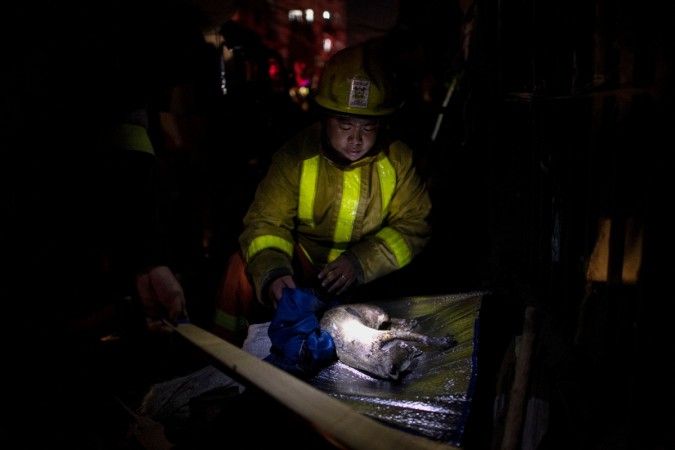 A firefighter carries a burned cat after a huge fire that engulfed a slum area in Manila on December 11, 2018. - About 300 houses were destroyed, leaving 400 families homeless. (Photo by Noel CELIS / AFP) PHILIPPINES-DISASTER-FIRE