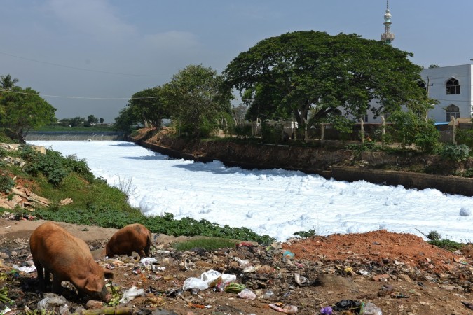 A canal which once carried water from Bellandur Lake to Varthur Lake is filled with froth emanating from sewage in east Bangalore on May 1, 2015. The innocuous-looking foam, which from a distance, looks like snow is nothing but toxic effluent caused by the polluted sewage water overflowing from nearby Bellandur Lake. The foam is a result of the water in the lake having high content of ammonia and phosphate and very low dissolved oxygen. Sewage from many parts of the Bangalore is released into lakes, leaving it extremely polluted. The foam during heavy rains spill onto the road, causing a traffic pile besides spreading unbearable stench in the air in the neighbourhood. AFP PHOTO/Manjunath KIRAN Bellandur lake