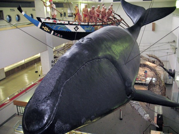 TO GO WITH Japan-animal-environment-dolphins,FOCUS by Kyoko Hasegawa This photo taken on September 6, 2009 shows a life-sized whale and scenery depicting whale hunting displayed at the Taiji Whale Museum at Taiji in Wakayama prefecture, western Japan. US environmentalist Ric O'Barry has filmed dolphin hunting at the Japan town of Taiji as an eco-documentary called 'The Cove' which has started screening in the US. Amid the controversy, Taiji fishermen started their annual hunt on September 9, 2009, catching about 100 bottle nose dolphins and 50 pilot whales. AFP PHOTO / Yoshikazu TSUNO whale hunting displayed at the Taiji Whale Museum at Taiji in Wakayama prefecture, western Japan.