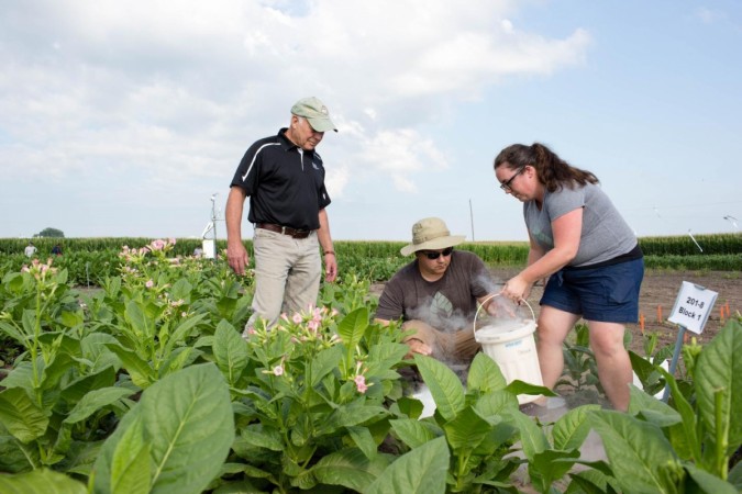 Scientists Don Ort (left), Paul South (center) and Amanda Cavanagh (right) study how well their plants modified to bypass photorespiration perform beside non-modified plants in real-world conditions. They found that plants engineered with a synthetic shortcut are about 40 percent more productive. CREDIT: Claire Benjamin/RIPE Project photosynthesis