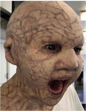 Birdbox monster Birdbox monster