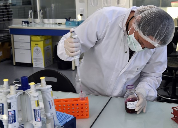 Gene therapies work by inserting copies of a therapeutic gene into the cells of a patient, if, for example, the patient was born without functional copies of the needed gene. gene labs