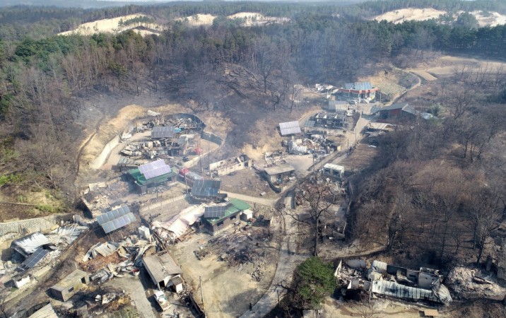 South Korea declares national emergency as winds fan giant forest fires ...