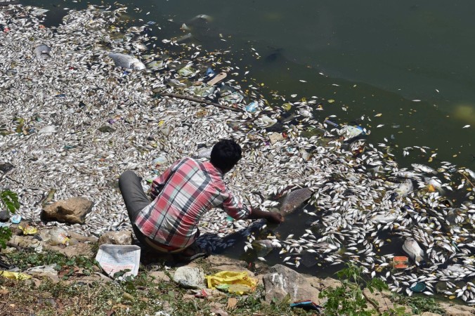 Ulsoor lake