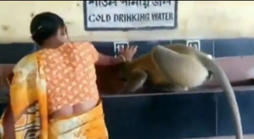 A woman helps thirsty monkey drink water at a railway station A woman helps thirsty monkey drink water at a railway station