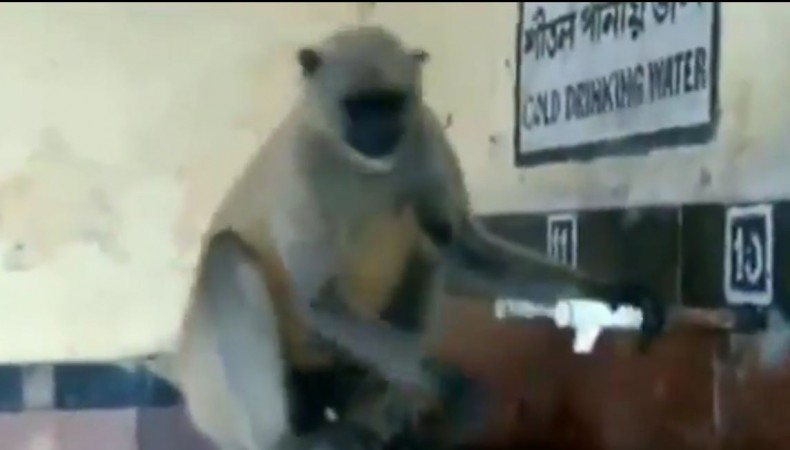 A thirsty monkey struggles to open water at a railway station A thirsty monkey struggles to open water at a railway station