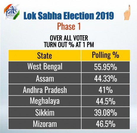 Voter turnout 1 pm