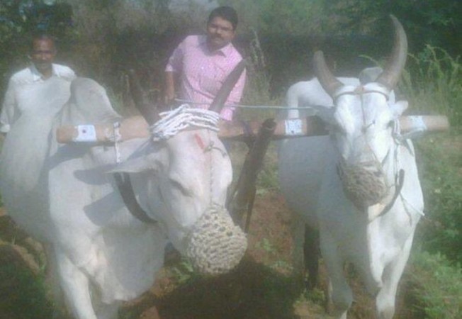Madhura Sreedhar Reddy Madhura Sreedhar Reddy