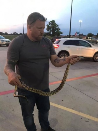 snake in walmart 2