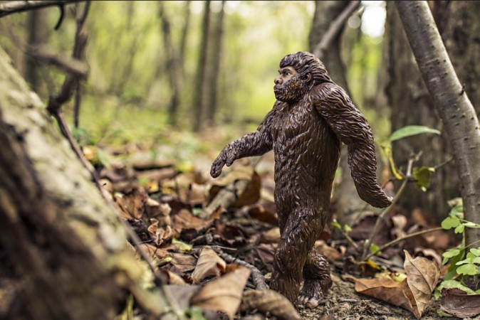 Bigfoot