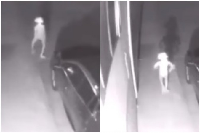 Alien like creature that looks like Elf caught on CCTV camera. Alien like creature that looks like Elf caught on CCTV camera
