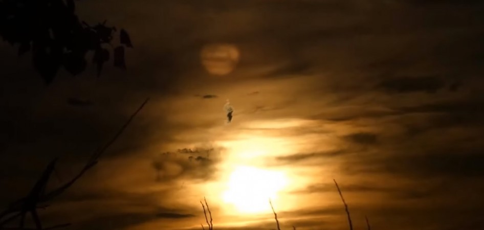 Nibiru