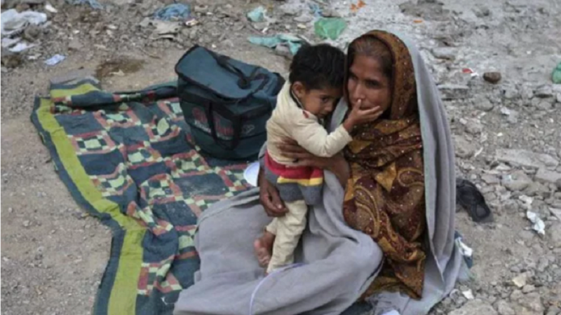 At least 115,600 families, including 145,324 women, 76,742 children under five years of age and 145,847 minors aged between 10 and 19 years were studied during the course of the survey. pakistani families