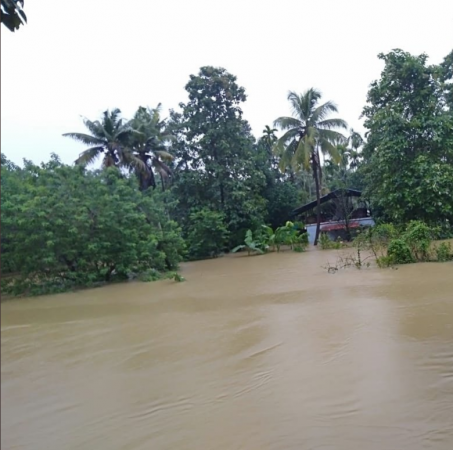 Kerala rains
