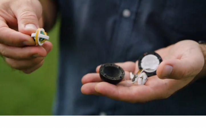 A picture of the chip that won't be inside the ball. Bowl microchip