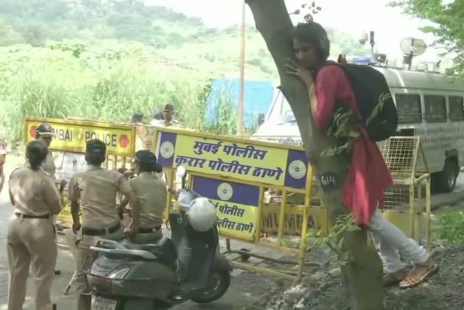 aarey forest tree cutting news