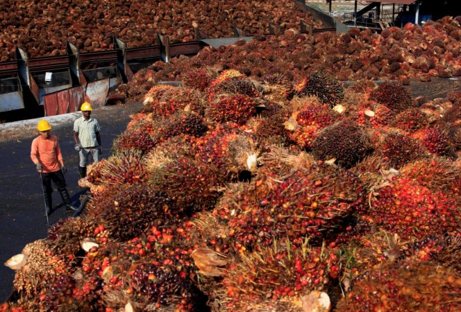 Workers stand near palm oil fruits inside a palm oil factory in Sepang, outside Kuala Lumpur, February 18, 2014. palm oil Malaysia
