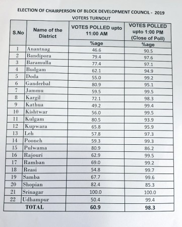BDC Voter turn out. Image:@diprjk/Twitter J&K BDC