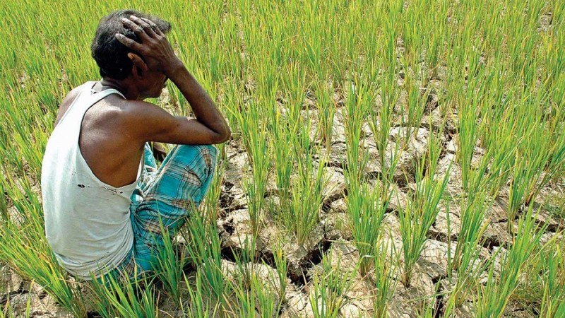 The report highlighted that 11,379 farmer's committed suicide in India in 2016. Farmers' suicide