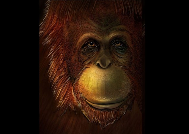 Artistic representation of Gigantopithecus blacki Bigfoot