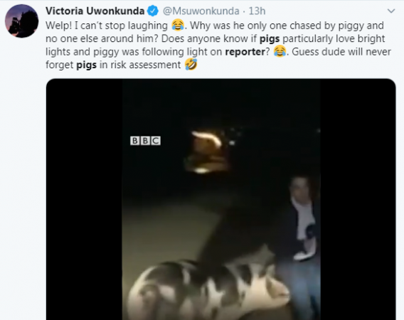 Pig Tweet