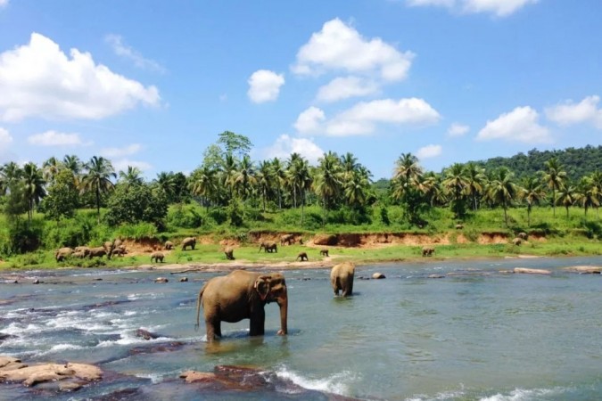 Sri Lanka: Tourism promotion campaign will be started in 12 countries including China Sri Lanka