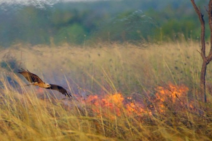 Australia fire Australia fire