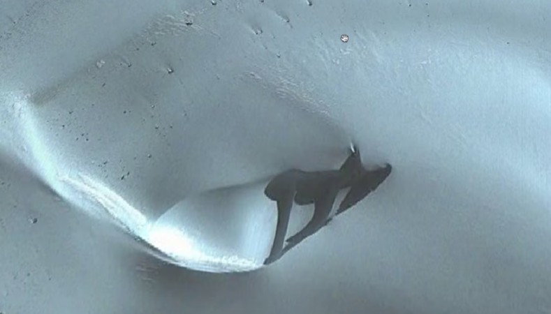 UFO Antarctica