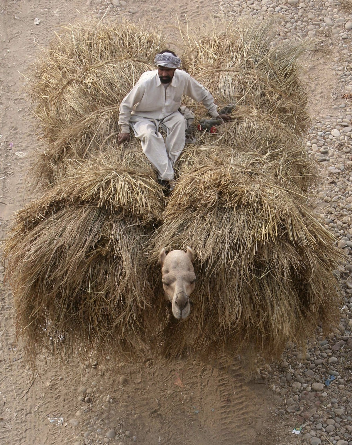 From Overcrowded Buses to Trains: Incredible Images of Overloaded India