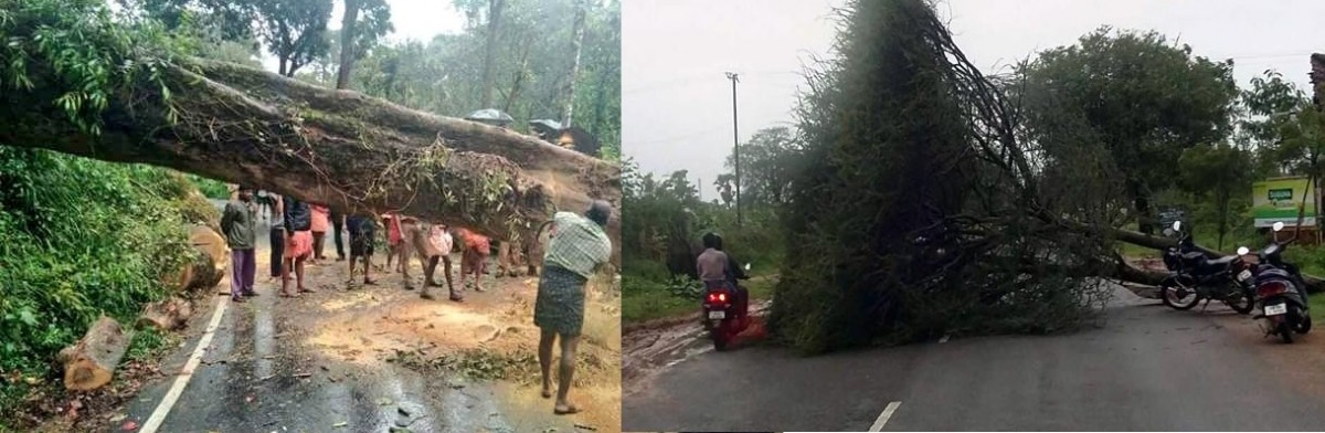 (Representational image) Cyclone Ockhi